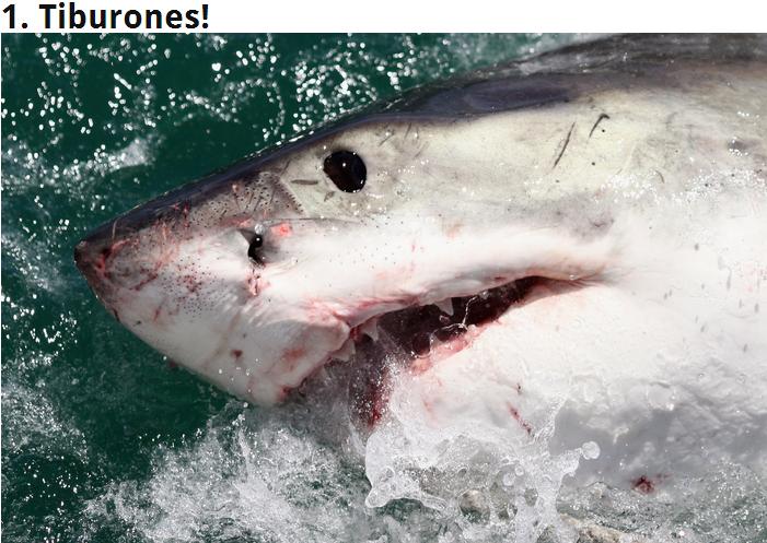 Cosas que Hacer en Houston Este Fin de Semana, mayo 30 en houston, mayo 31, en houston, Houston Eventos Calendario, museos eh houston