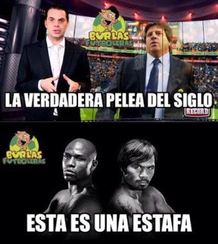 Piojo Piojo