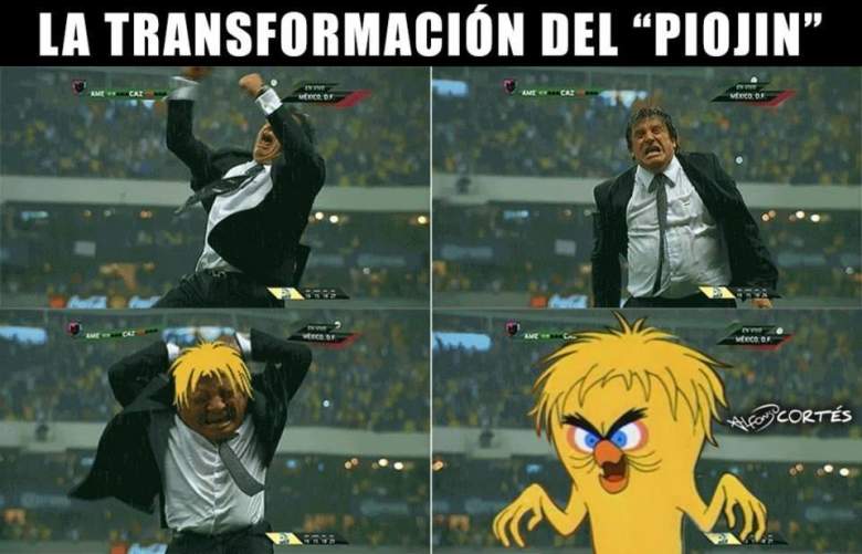 piojo Piojo
