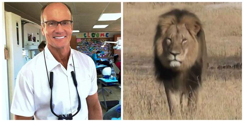 Cecil, Walter Palmer