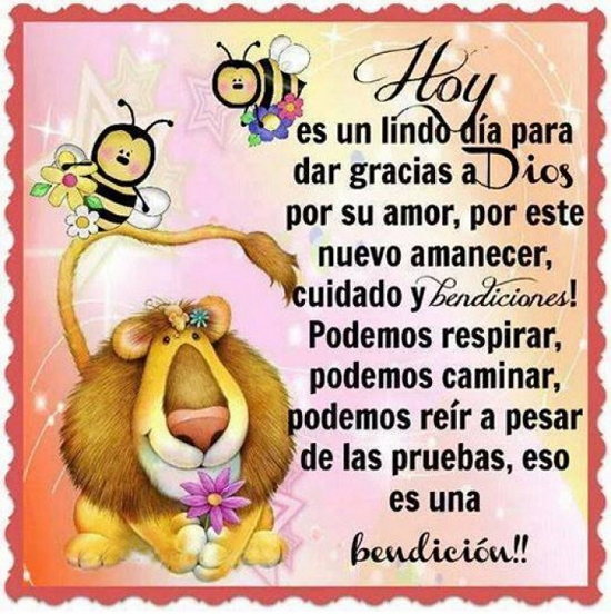 Dia de Accion de Gracias