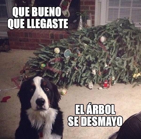 Navidad