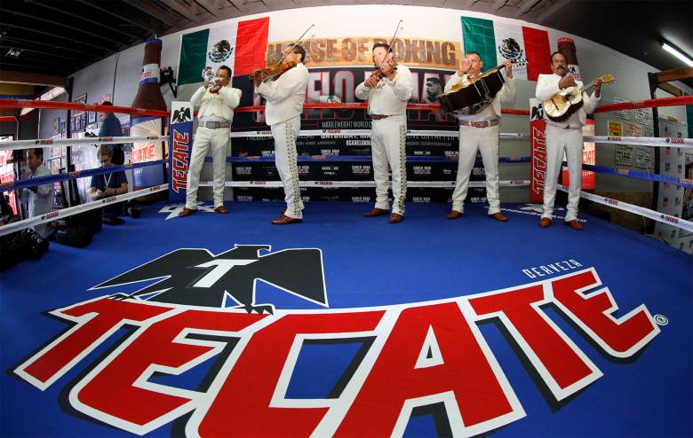 CaneloWorkoutTecate_Hoganphotos proxima pelea de canelo, canelo khan