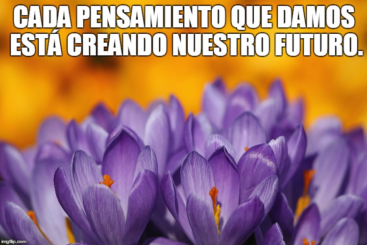 dichos positivos, Pensamientos positivos