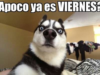 memes de Feliz Viernes, memes de felizviernes, #felizviernes, memes de buen Viernes, memes de buenviernes, #buenviernes,