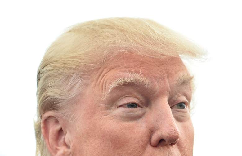 pelo de donald trump, cabello de donald trump, peluca trump