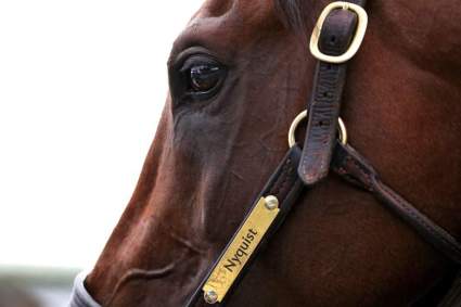 Como Ver los Preakness Stakes 2016 en Vivo por Internet y Móvil