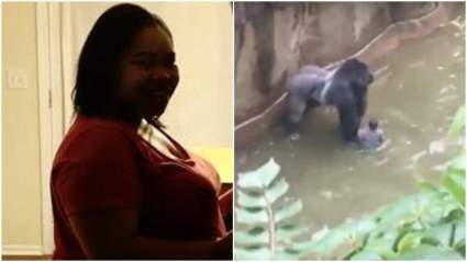 Michelle Gregg, Madre del Niño que Cayó al Foso del Gorila: 5 Datos que Tienes que Saber