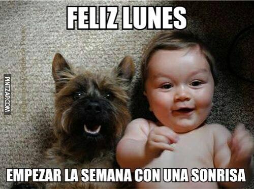 chistes de lunes, memes de lunes