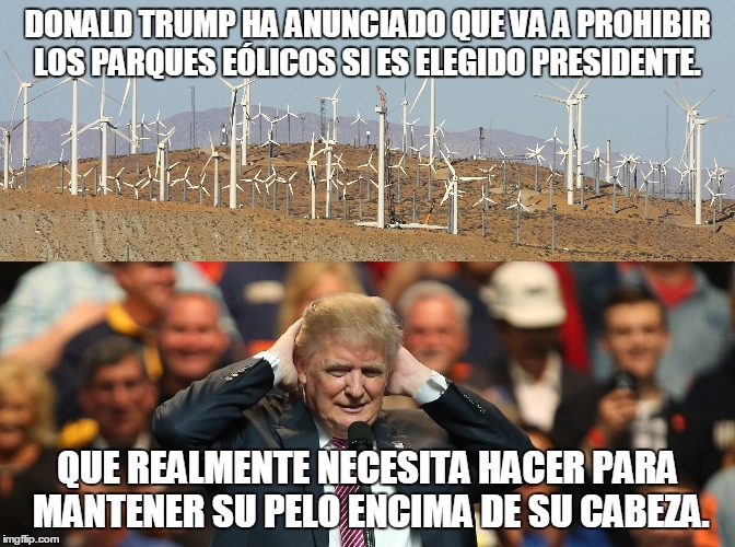 chistes del pelo de trump, memes pelo de trump