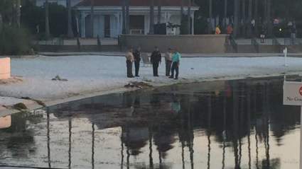 FOTOS: Cocodrilo se Lleva Niño de Disney World, Las Imagenes que Tienes que Ver