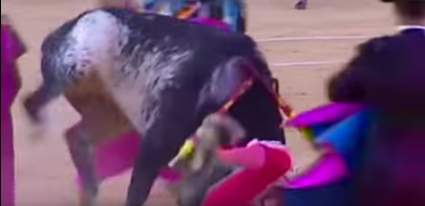 VER: Torero Muere a Cornadas, VÍDEO
