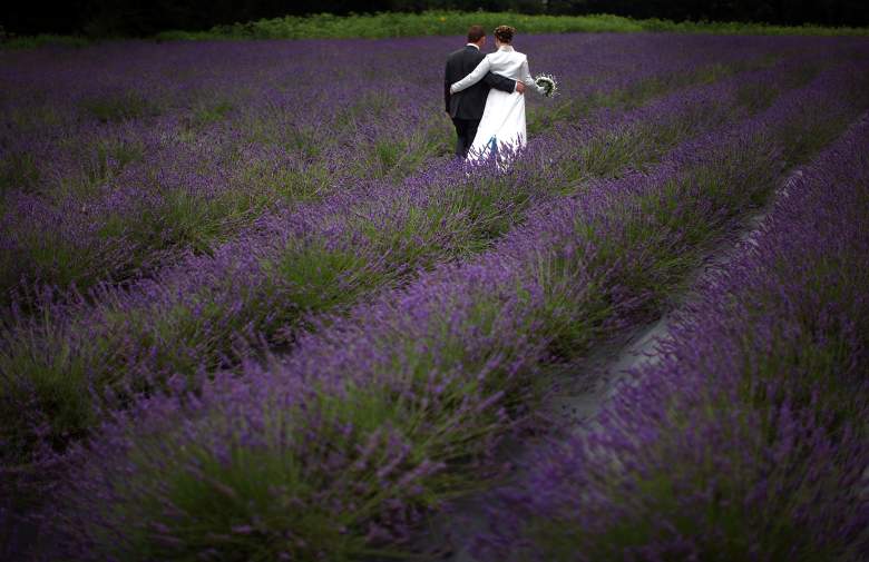 Imagenes de Amor para mi esposo, Imagenes de Amor para mi esposa, Imagenes de Amor para mi mujer,