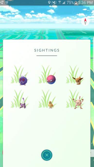 &iquest;Qu&eacute; significa las hojas o pasto en la nueva actualizaci&oacute;n de Pokemon GO? Esta es una captura de pantalla del c&eacute;sped que parece. ( Reddit / Sk84life116)