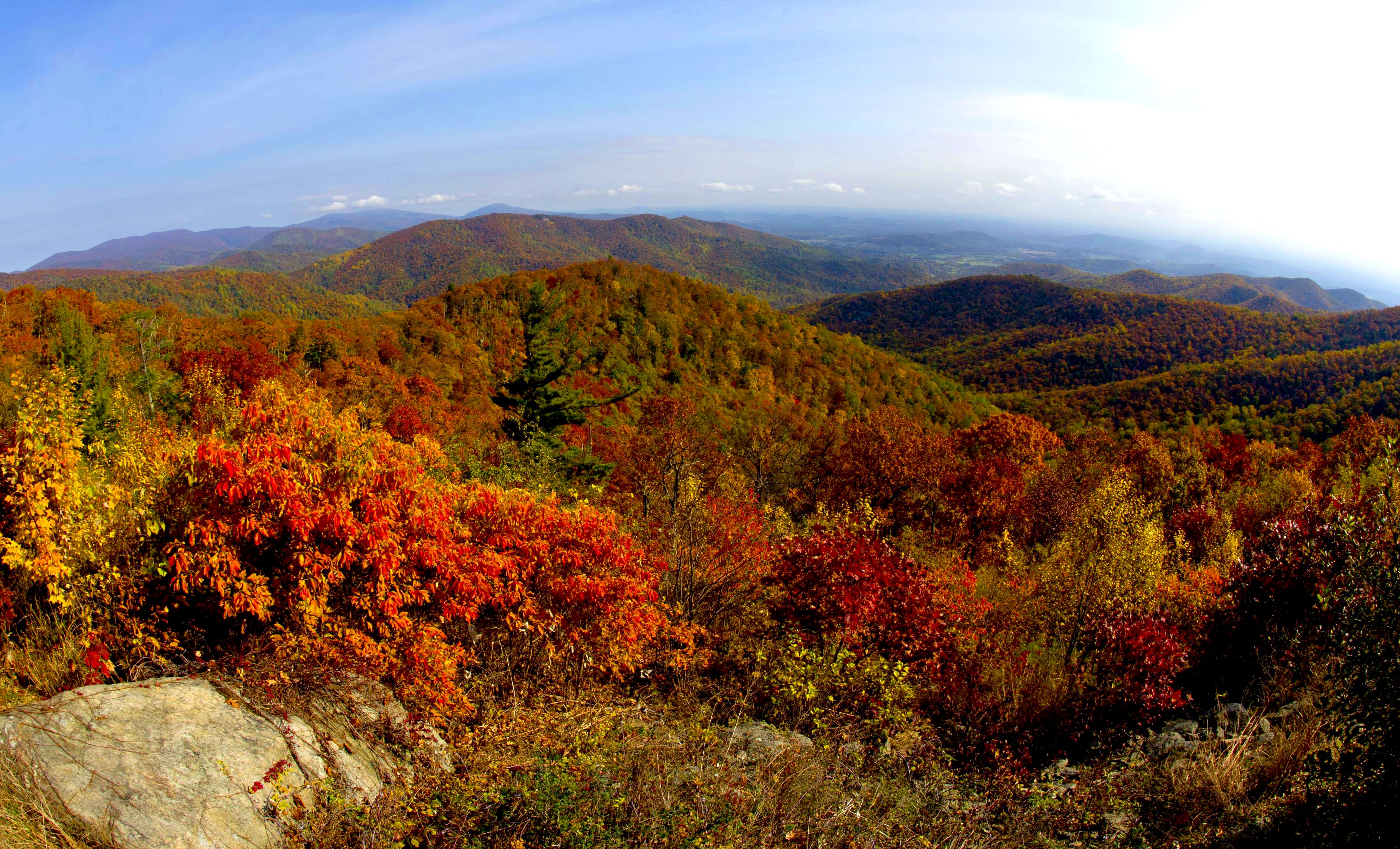 A view of the fall colors October 24, 2015 along Skyline drive in Shenandoah National Park in Virginia. Thousands of visitors descended on the park Saturday creating miles of traffic backups at all of the entrances making traffic control a nightmare for police. AFP PHOTO/KAREN BLEIER / AFP / KAREN BLEIER (Photo credit should read KAREN BLEIER/AFP/Getty Images)