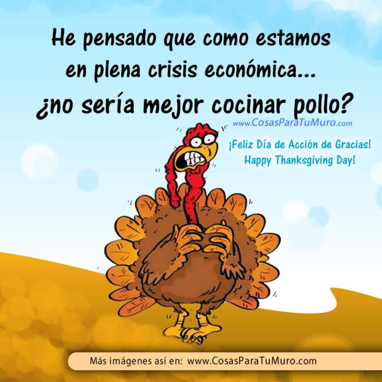 pollo_para_thanksgiving-other