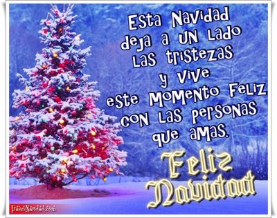 frases