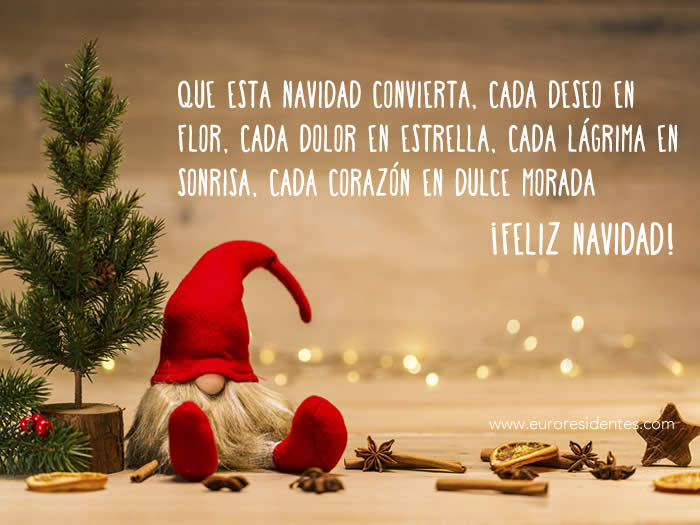 frases