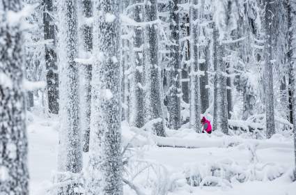 TOP 5: Videos virales del día – Junio 26, 2020