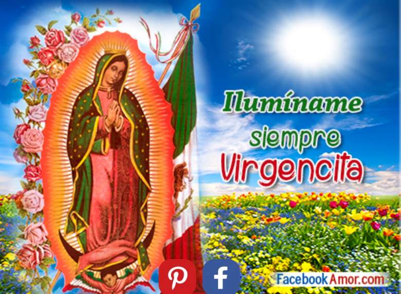 Virgen de Guadalupe