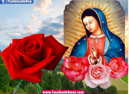 Virgen de Guadalupe: Frases para compartir en redes sociales
