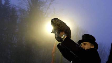 EN VIVO: Como ver la predicción de la marmota para Groundhog Day por internet