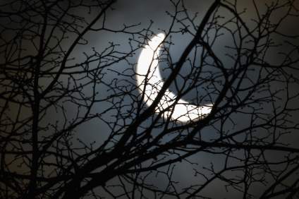 Eclipse solar 26 de febrero: ¿Cuando es el pico máximo?
