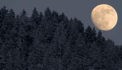 VER: La Luna de Nieve del 10 de febrero 2017 en Vivo [Vídeo/Livestream]
