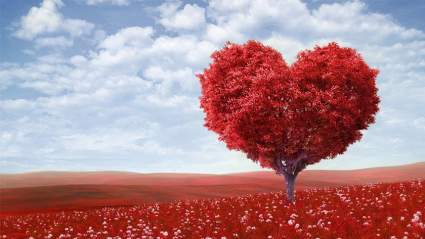 Día de San Valentín 2017: Los 20 Mejores Mensajes de Texto en Inglés