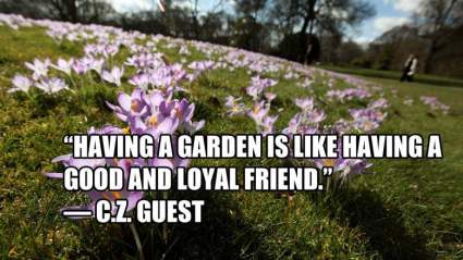 Primer Día de Primavera 2017: Las Mejores Frases en Ingles para Compartir en las Redes