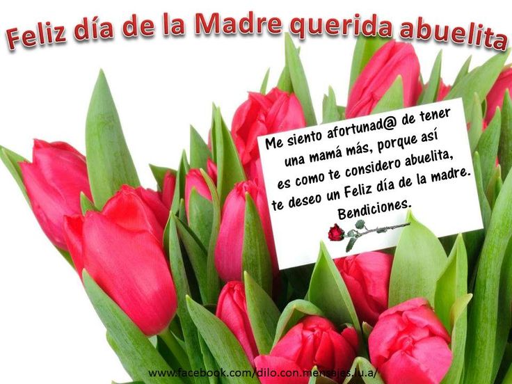 Dia de la Madre Abuelita