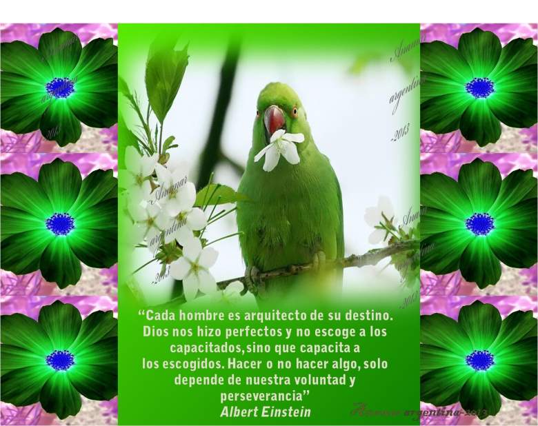 5 de mayo, imagenes, frases para compartir 5 de Mayo: Las mejores frases para compartir