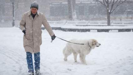 Virginia – Tormenta Grayson 2018: Cantidad de nieve acumulada