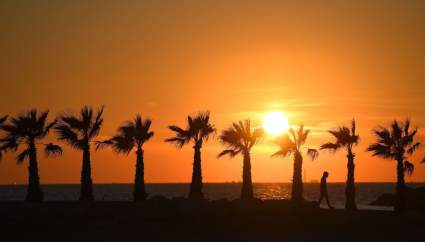 TOP 5: Videos virales del día – Julio 4, 2020