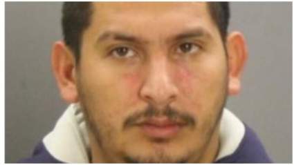 Armando Juárez: 5 datos importantes que tienes que saber
