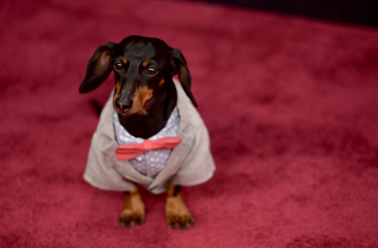 People’s Choice Awards 2018: Los PEORES looks en la alfombra roja [FOTOS], mal vestidos, mal vestidas, peores vestidas,, Crusoe