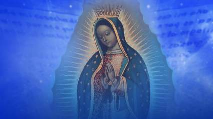 LIVE STREAM: ¿Cómo ver “La Rosa de Guadalupe” en vivo?