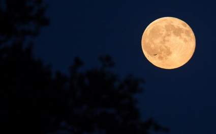 SUPERLUNA 20-21 de marzo 2019: ¿A qué hora y dónde verla hoy?