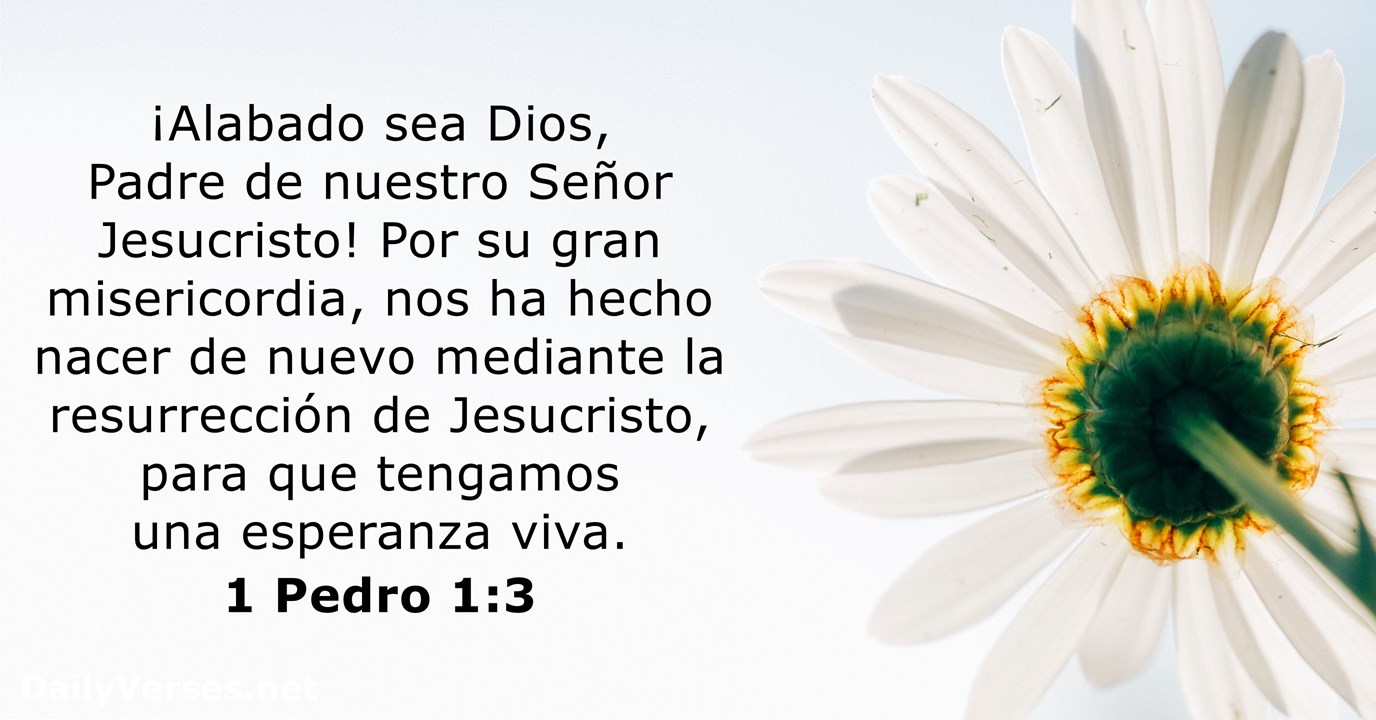 Felices Pascuas 2019: Versículos de la Biblia para compartir