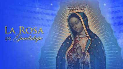 “La Rosa de Guadalupe”-ESTELAR: ¿A qué hora es hoy?¿Qué Canal?
