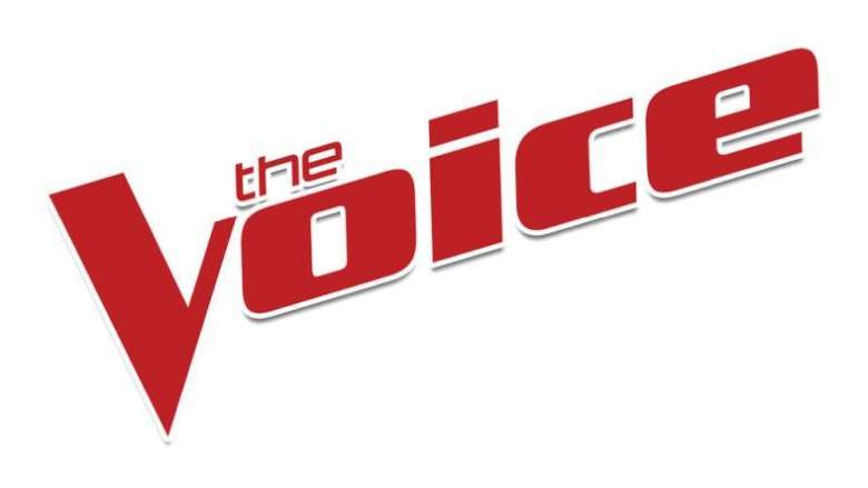 The Voice 2019: ¿Quiénes están en el Top 13?