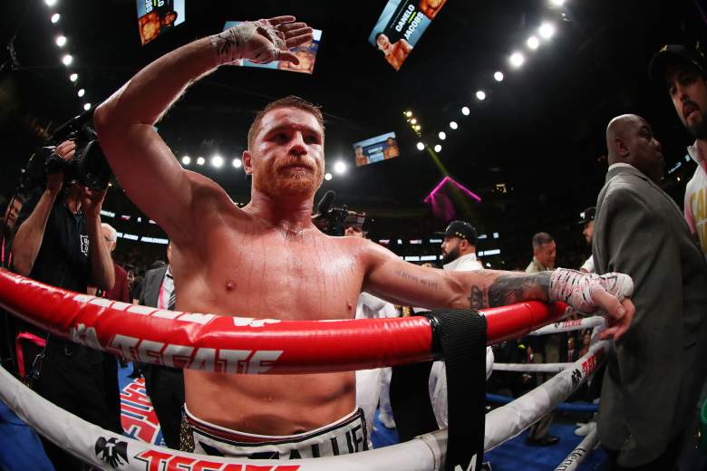 ¿Cómo entrena Canelo Álvarez?: este estilo de gallito gritón se hizo viral