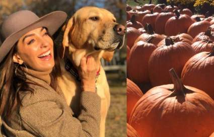 ¿Cómo rejuvenece tu piel con calabaza? Pregúntale a Kika Rocha