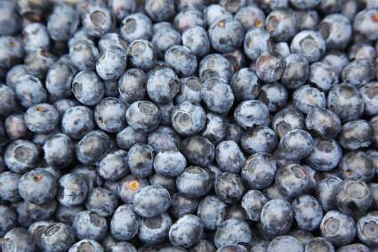 5 Alimentos ricos en antioxidantes y por qué debes consumirlos