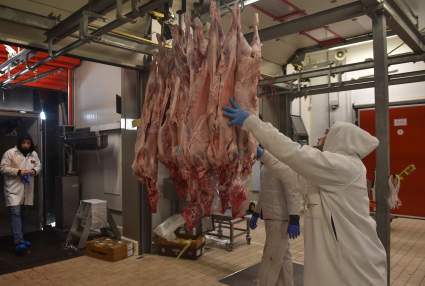 ¿EE.UU. sufrirá falta de alimentos?: cierran procesadora de porcinos