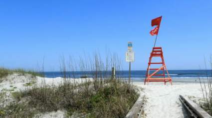 [FOTOS]: Multitudes se reúnen en Jacksonville Beach, en la Florida después de su reapertura