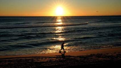 La Florida decide abrir playas a pesar de la continua propagación del coronavirus