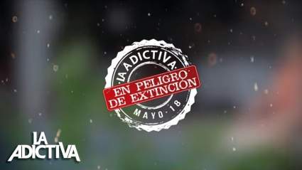 La Adictiva: Lanzan nueva versión de “En Peligro de Extinción”, una canción para los fanáticos (+VIDEO)