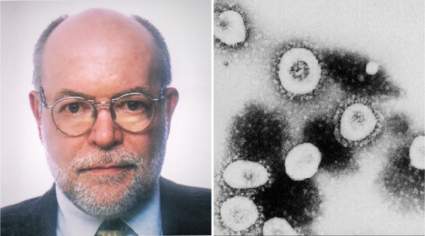 Experto asegura que inmunidad de rebaño es la mejor forma de luchar contra pandemia. ¿Cómo se logra?