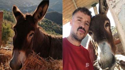 [VIDEO] Conmovedor reencuentro entre un hombre y su burra tras confinamiento en España